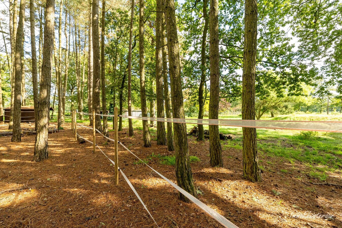 Property sold in Balen