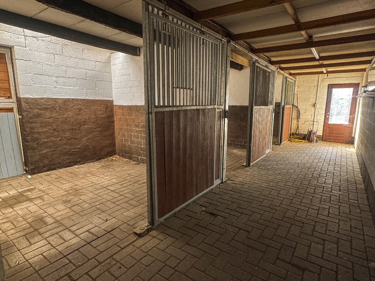 Ruime woning met paardenstallen op ca. 85 are te Kinrooi 