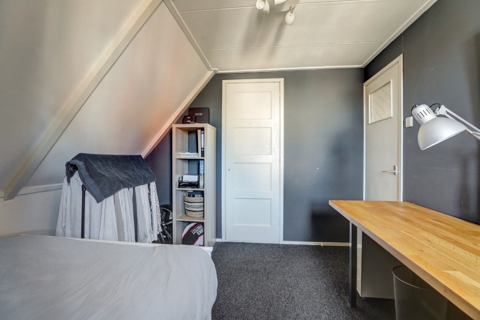 Vrijstaande woning met diepe zonnige tuin, overkapping en royale bijgebouwen 