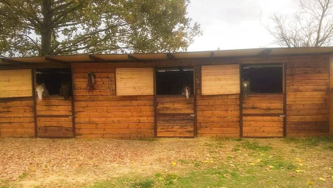 Landelijke hoeve met paardenfaciliteiten op ca. 1,3ha te Riva del Po (Noord-Italië) 