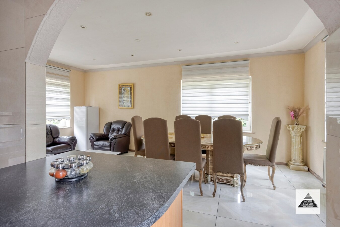 Villa / praktijk / BenB/ kamerwonen /... - Koolmijnlaan 11, Houthalen - perceel 2.700 m². 