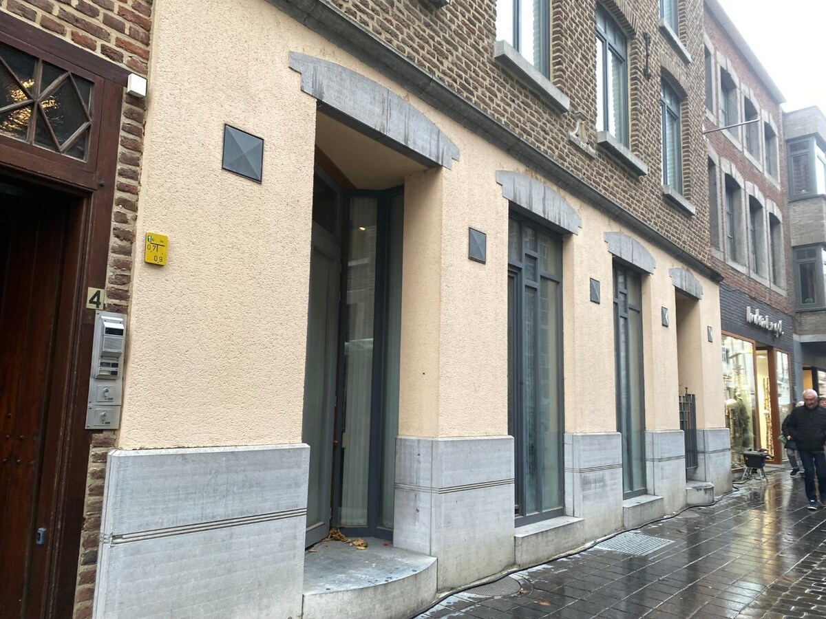 Burgerhuis 'Den Golden Naegel' - aan de Markt - lift - overdekte parking - IN PRIJS VERLAAGD! 