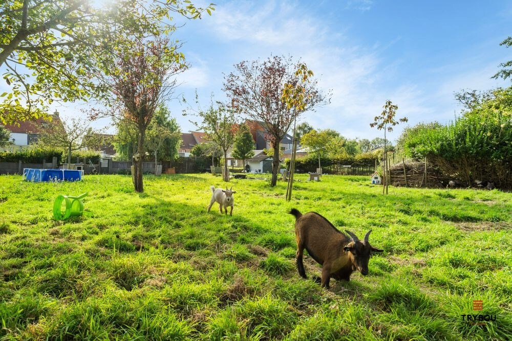 Centraal gelegen starterswoning op ruim perceel van 1658 m² 
