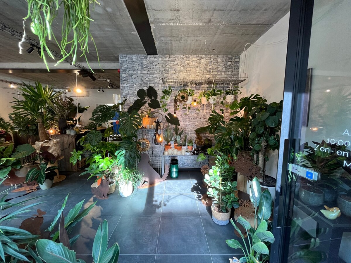 Gelijkvloers handelspand (winkel of kantoor). 