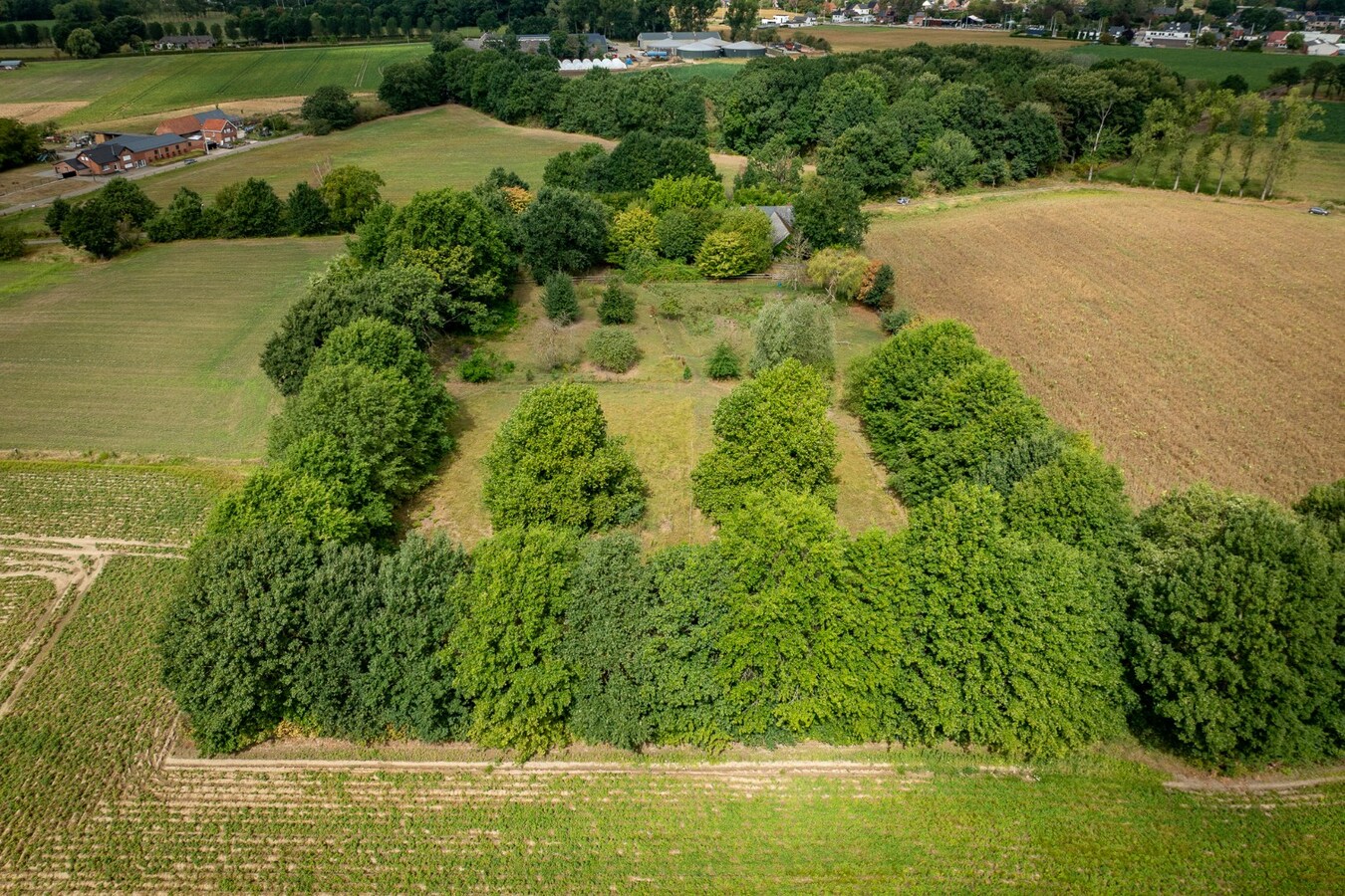 Karaktervolle hoeve met weides op ca. 2ha te Herk-de-Stad 