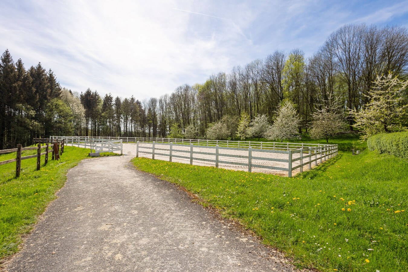 Hippische Complex met woonhuis en appartement op circa 31 Hectare 