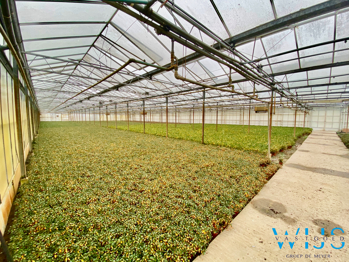 Landbouwgrond MET Serrecomplex te EVERGEM! 