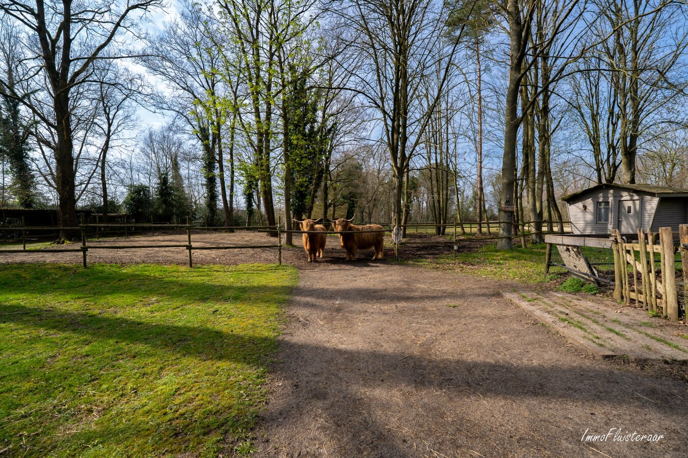 Karakteristieke woning met charmante chalet en paardenfaciliteiten op ca. 9.604 m² te Geel 