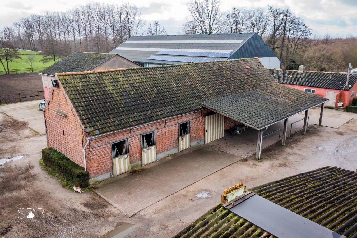 Landelijke woning met paardenaccommodatie en graslanden op 3ha 71a 90ca 