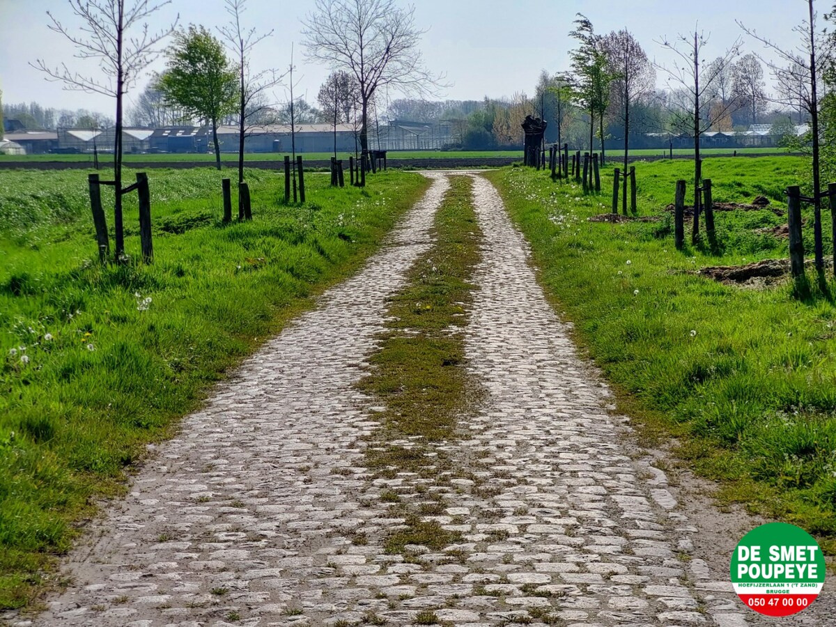 Gerestaureerde hoeve "Ter Leyden" 