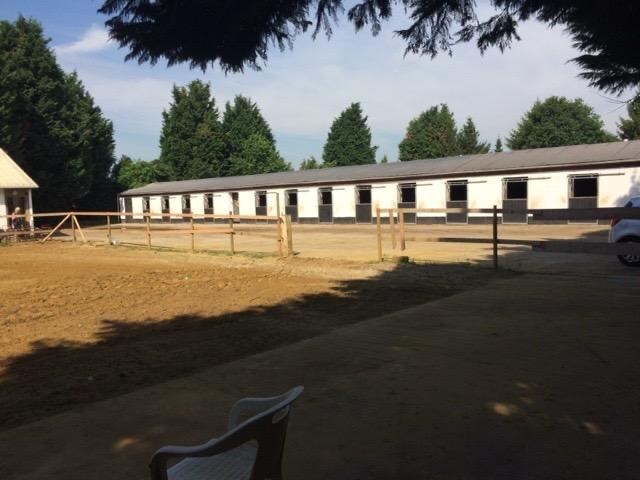 Paardenaccommodatie met 46 stallen, buitenpiste en hangaar op ca. 55 are te Linkhout (Lummen) 