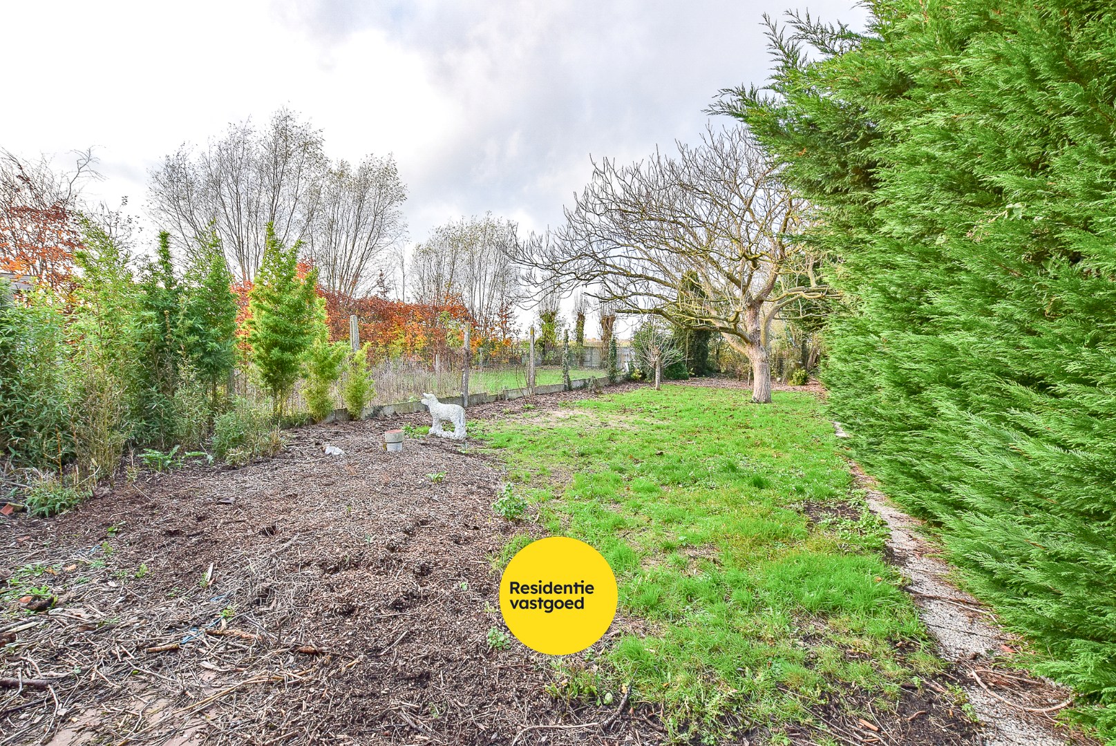 Ruime woning met uitbreidingsmogelijkheden en loods in groot Alveringem. 