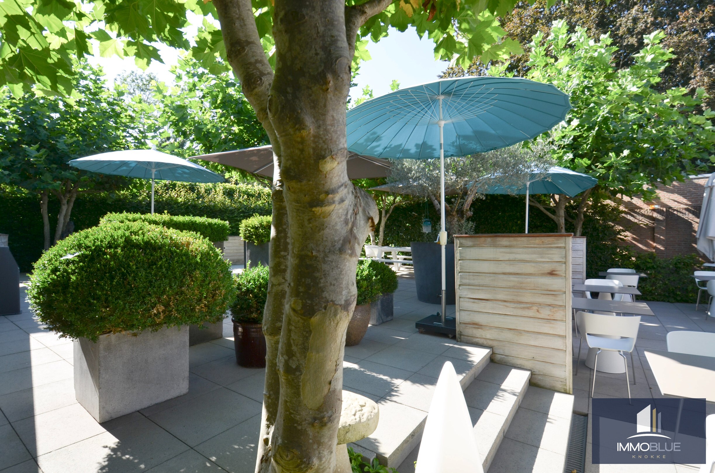 Propriété unique : Magnifique résidence/commerce situé(e) dans un emplacement d'exception au centre de Sluis. 