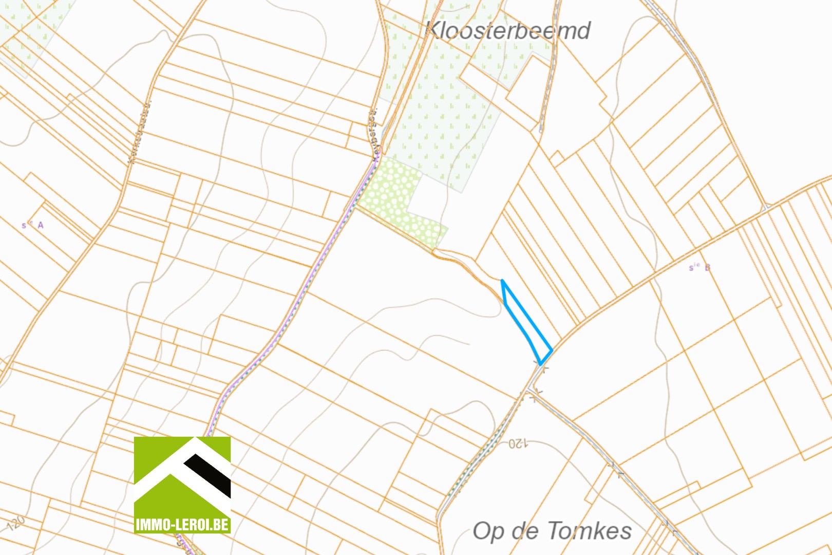 Perceel weiland van 27a77 te Tongeren-Rutten 