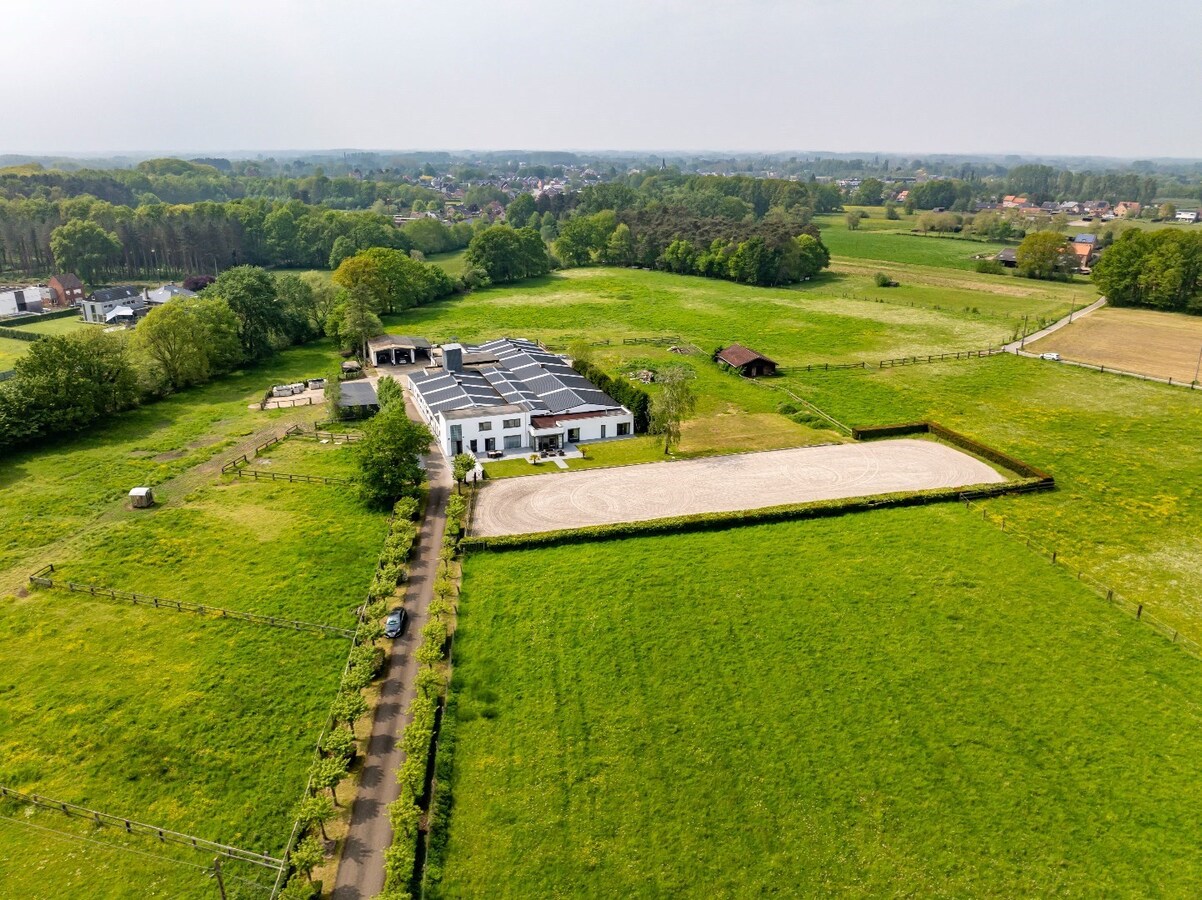 Prachtig hippische accomodatie op ca. 5,2 ha te Herselt 