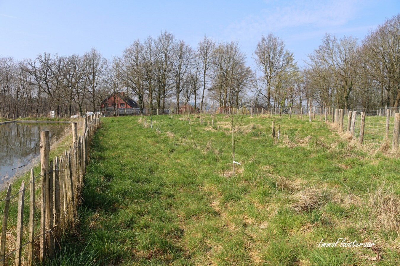 Champ de 90 ares à Tielt-Winge 