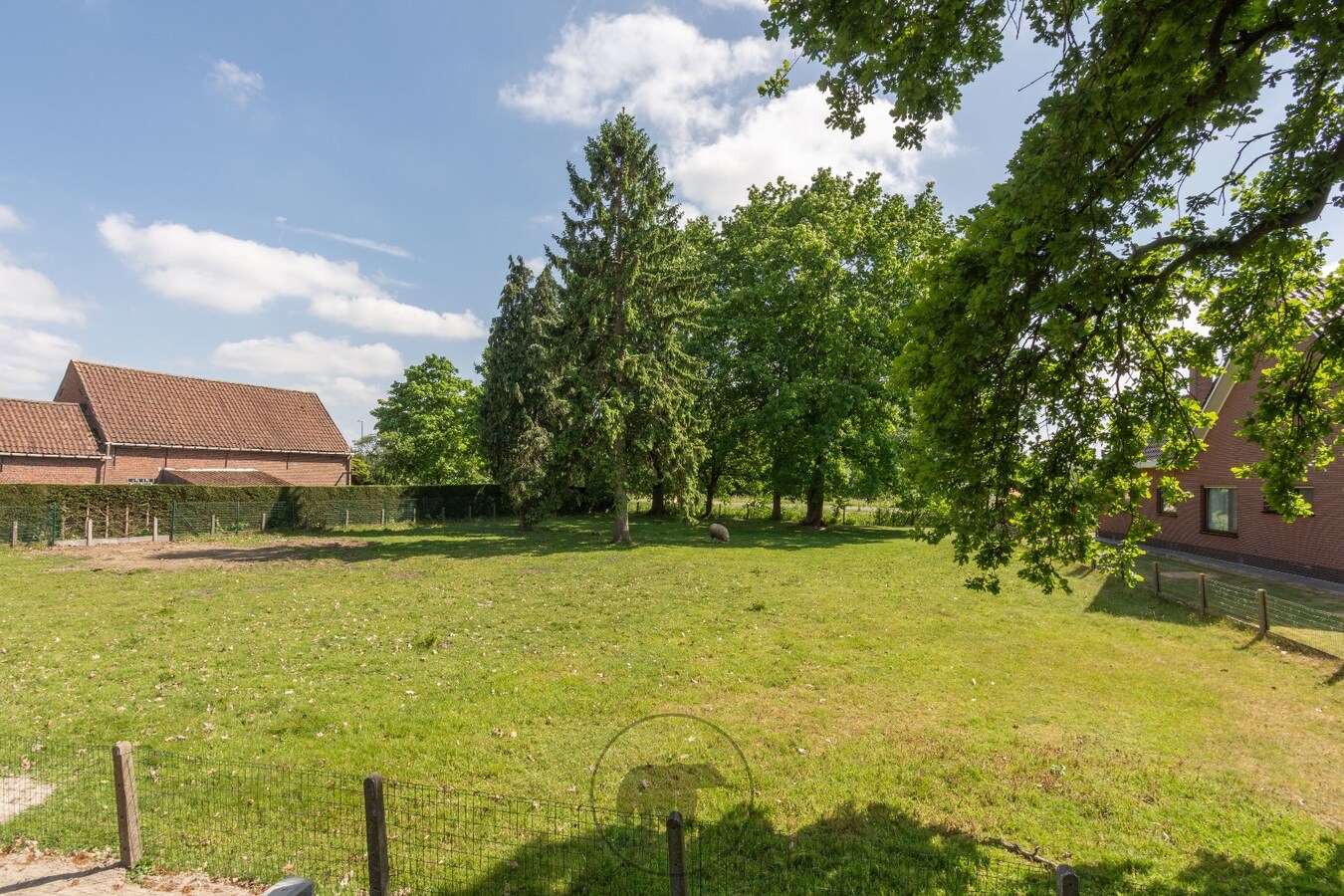 Bouwlot met achterin volwassen eiken (739m) te Lochristi 