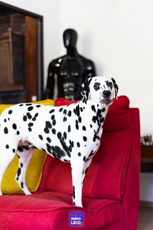 Maison d'architecte située dans le centre-ville ! 