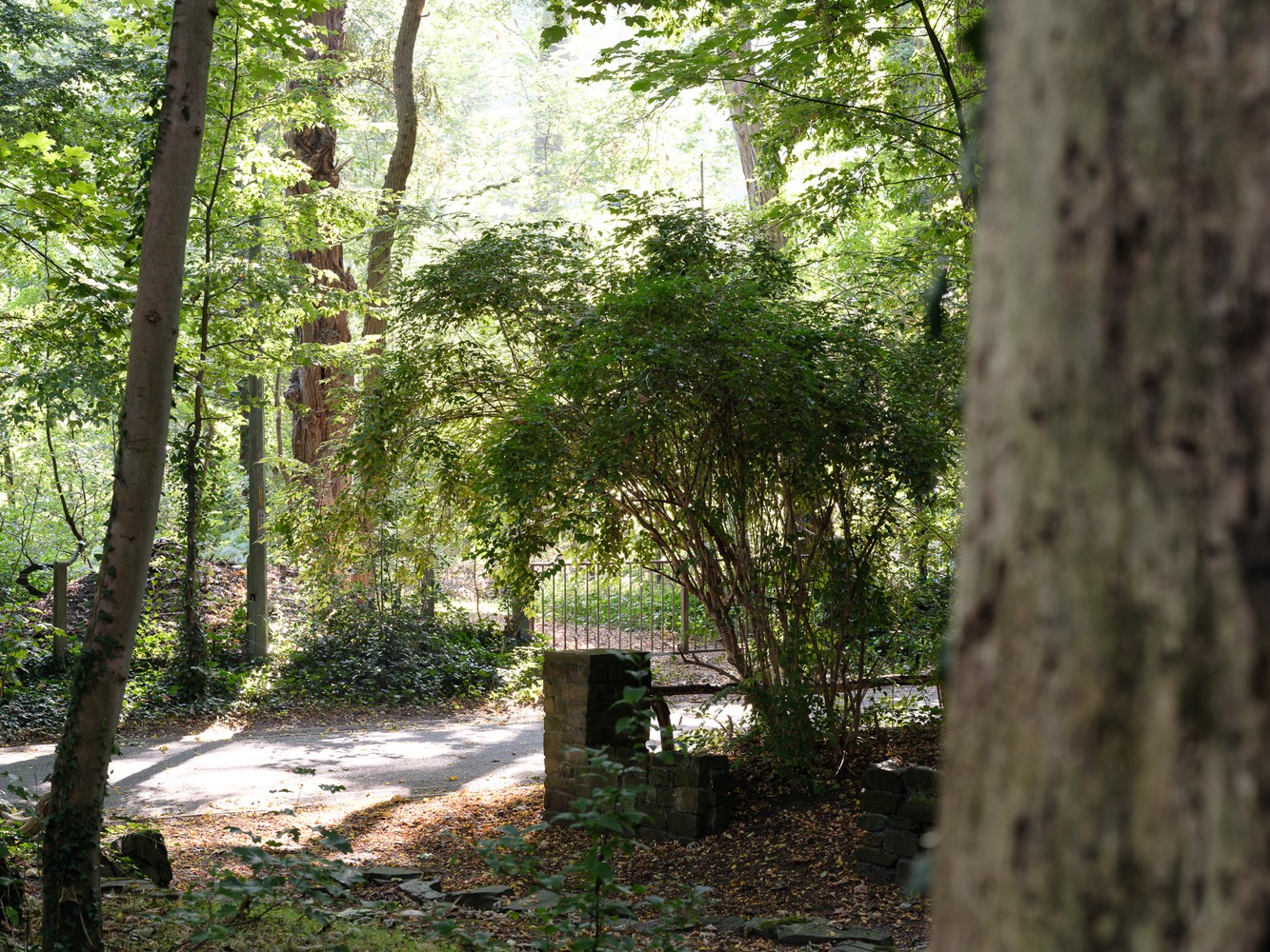 Jaren ‘70 villa in het bos 