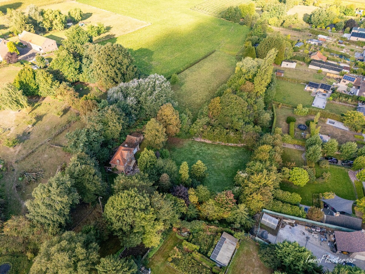 Unique renovation project on a spacious plot of approximately 77 acres in Ransberg (Kortenaken) 