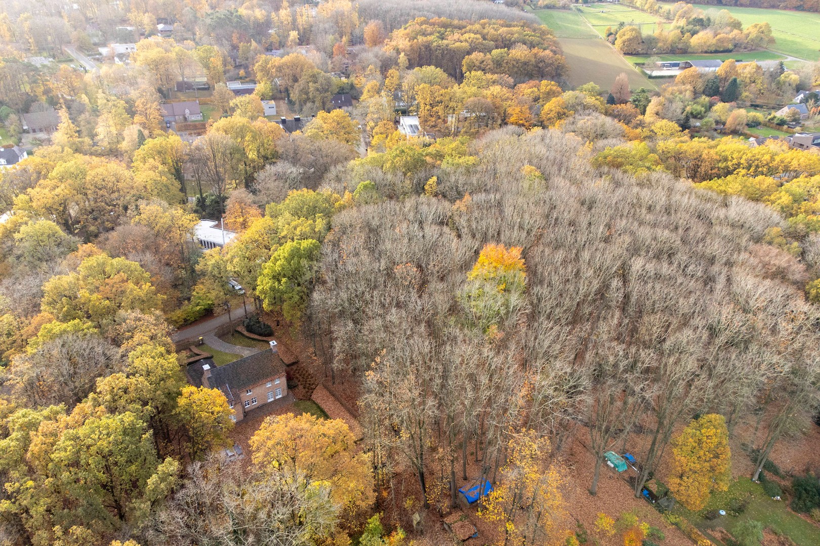 Prachtige bouwgrond van 22a 63ca te koop op een toplocatie in Hoog-Linden! 