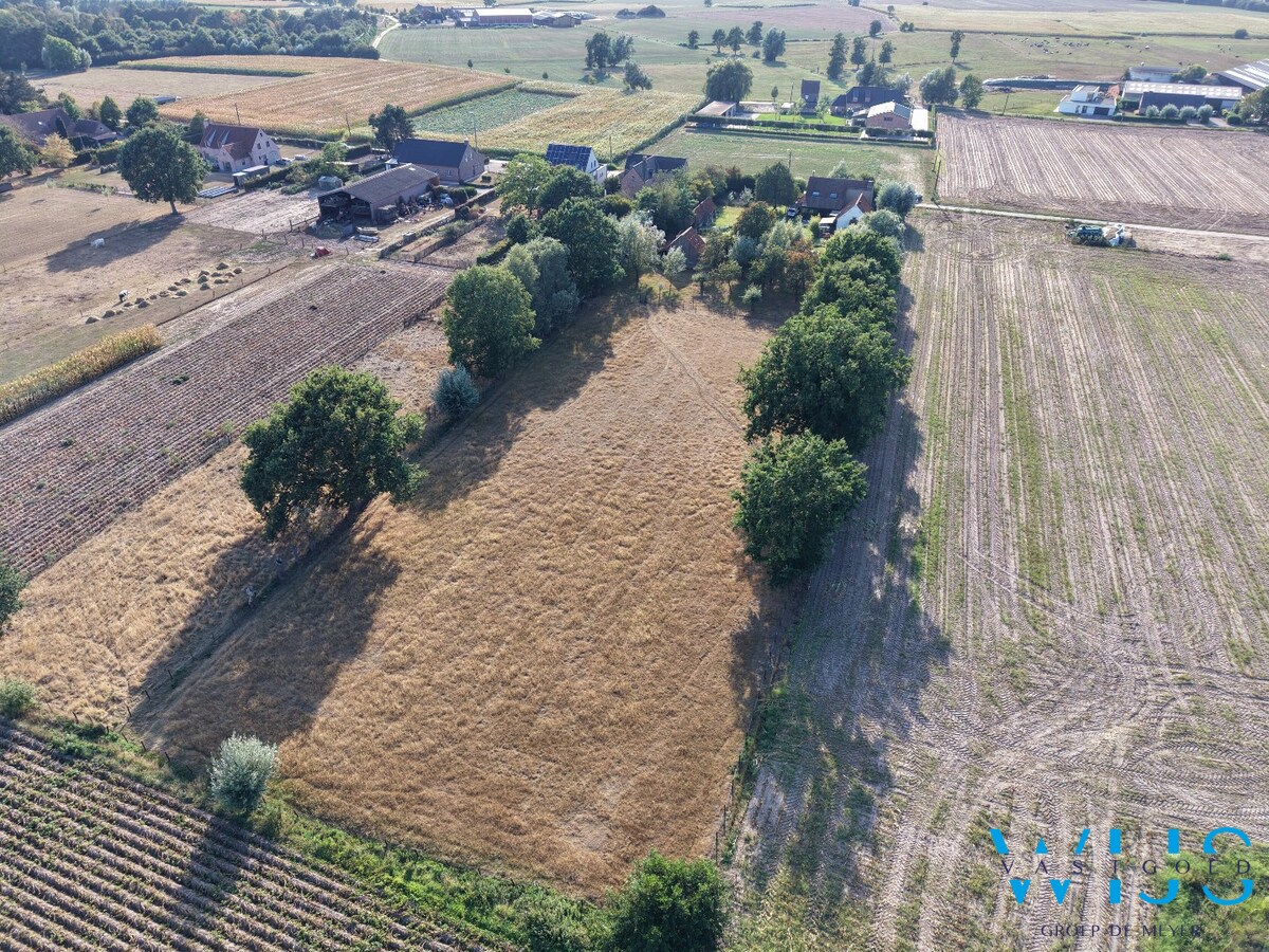 Unieke landelijke eigendom op 7.114 m² te Bassevelde 