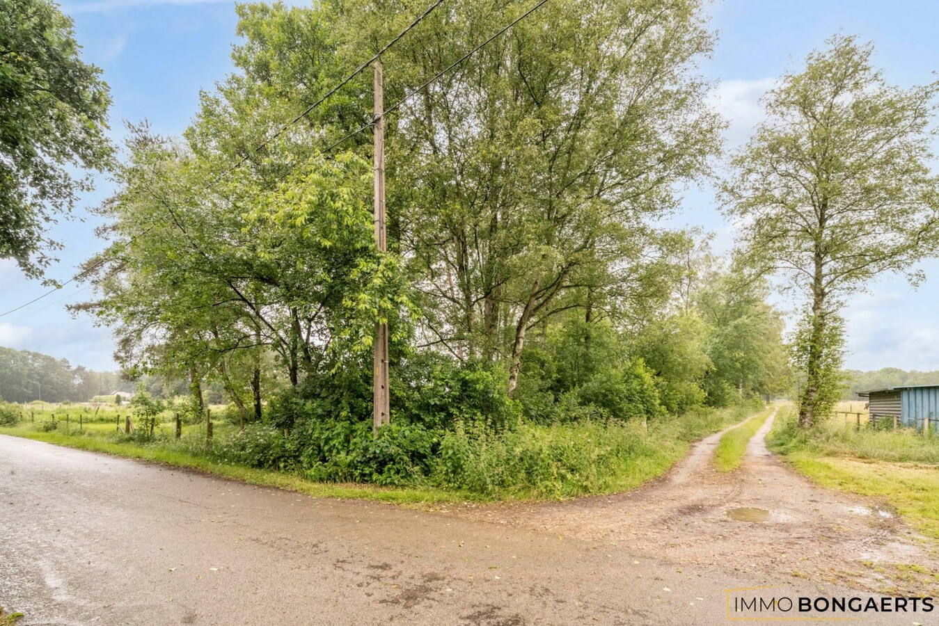 Perceel landbouwgrond 