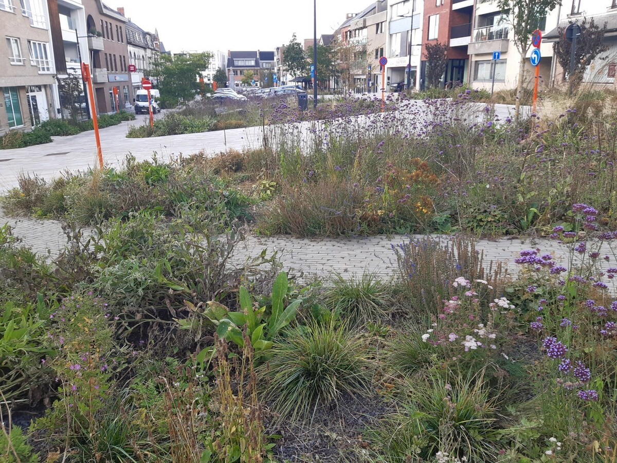 Praktisch 2 slpk-appartement met terras. 