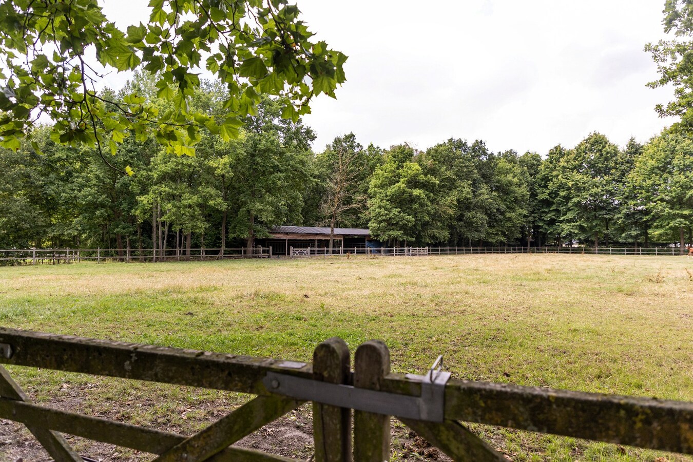 Prachtige landelijke villa met gezinstuin en graslanden op 32.558m² 