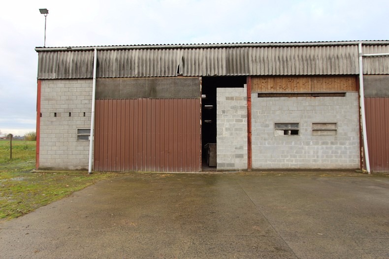 Verhuurd andere - Koekelare