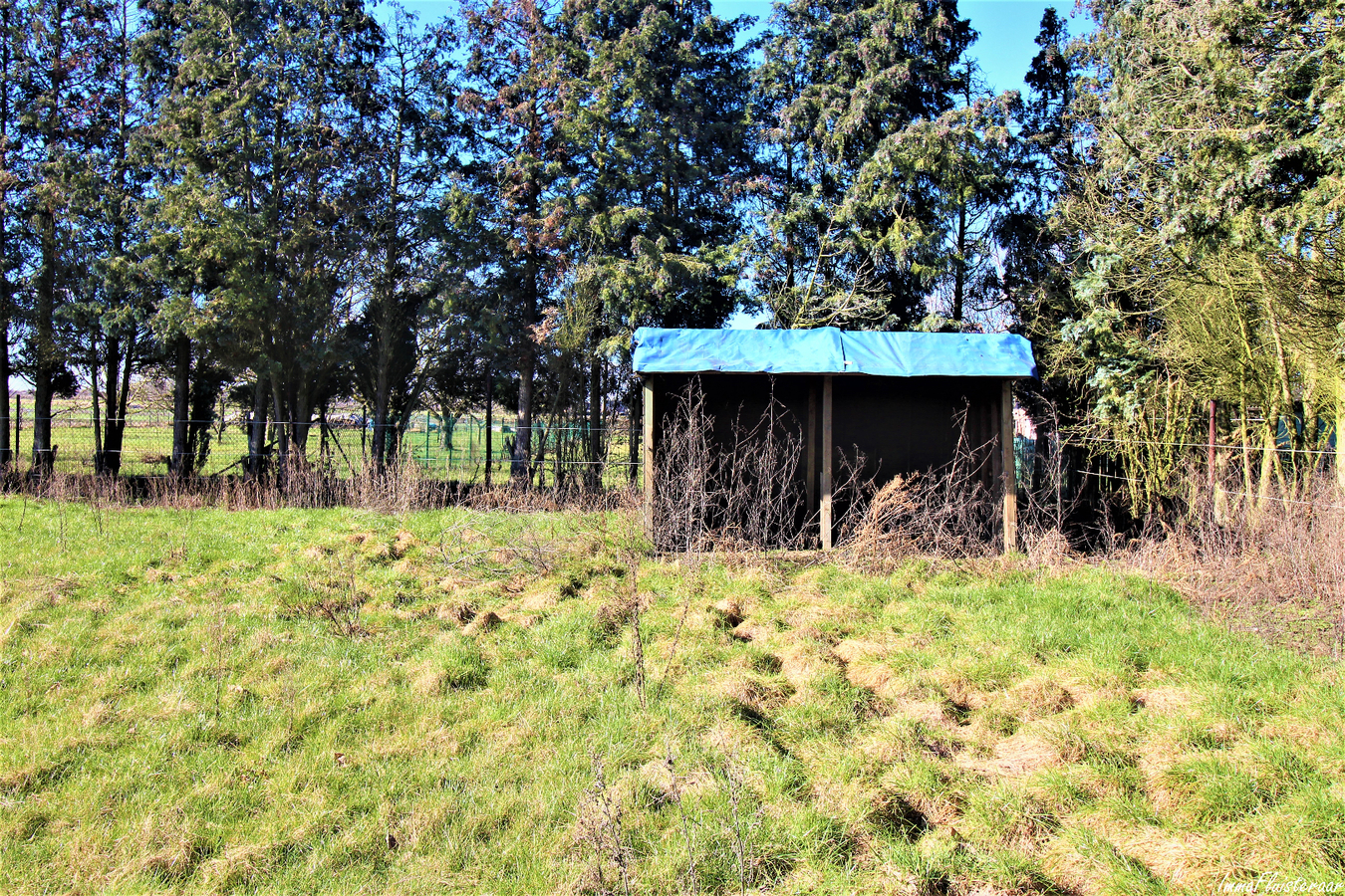 Maison à rénover (1900-1950) avec annexes et prés sur plus de 60a à Geetbets (Brabant Flamand) 