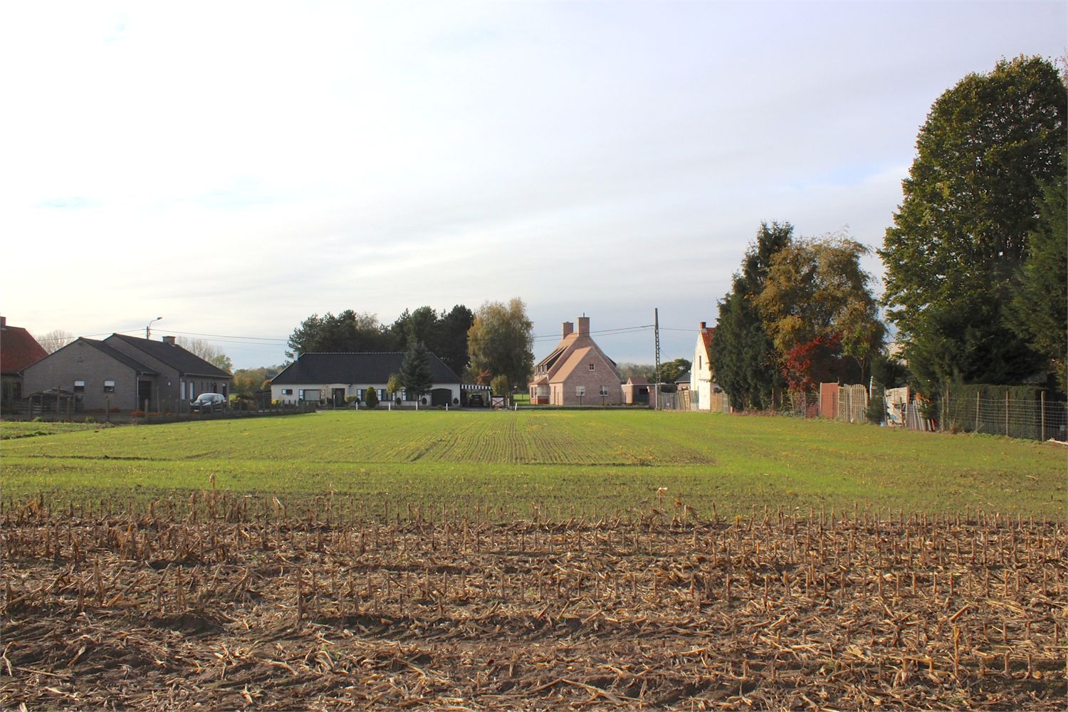 Prachtig perceel bouwgrond te Kruishoutem 