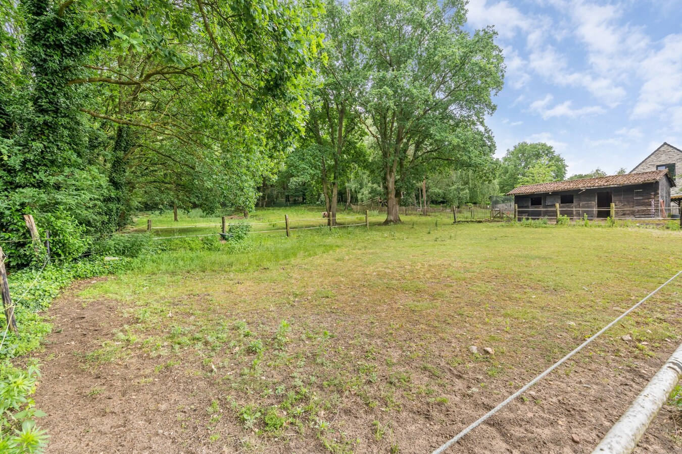 Uniek gelegen woning aan de bosrand op een perceel van 36a67ca waarvan 22a82ca geschikt is als paardenweide! 