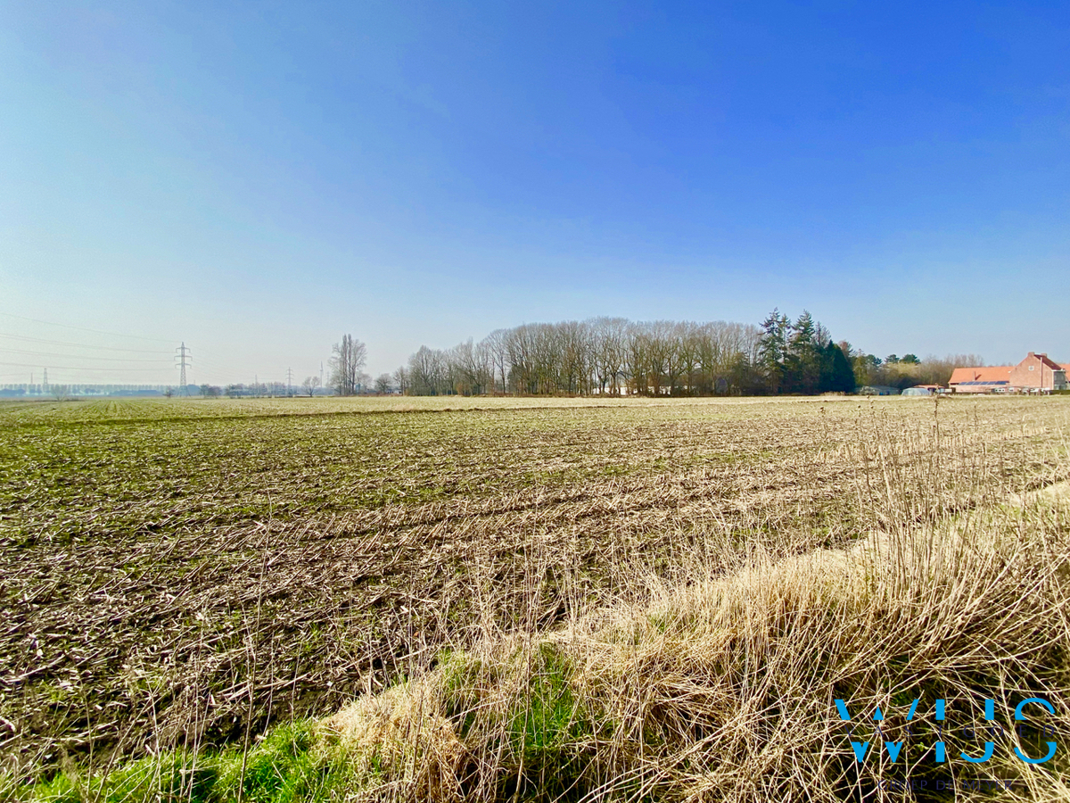 Instapklare en smaakvolle woning in hartje EEKLO 