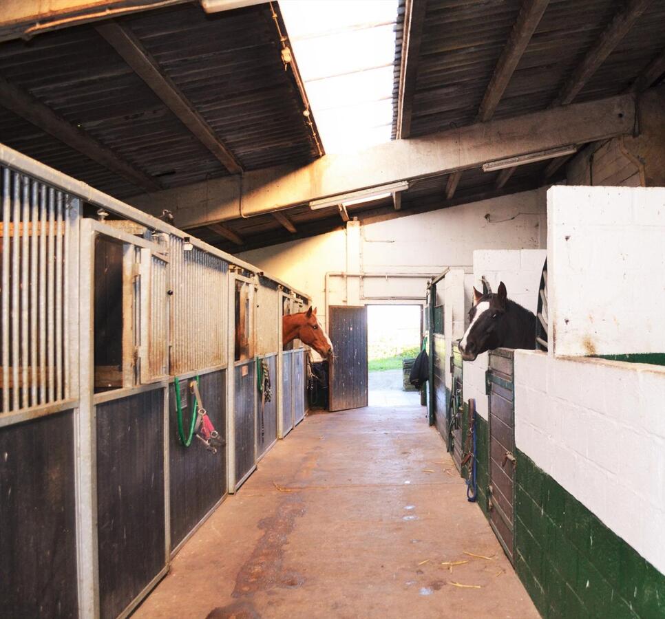 Splendide propriété avec piste couverte et boxes sur environ 1,3ha 