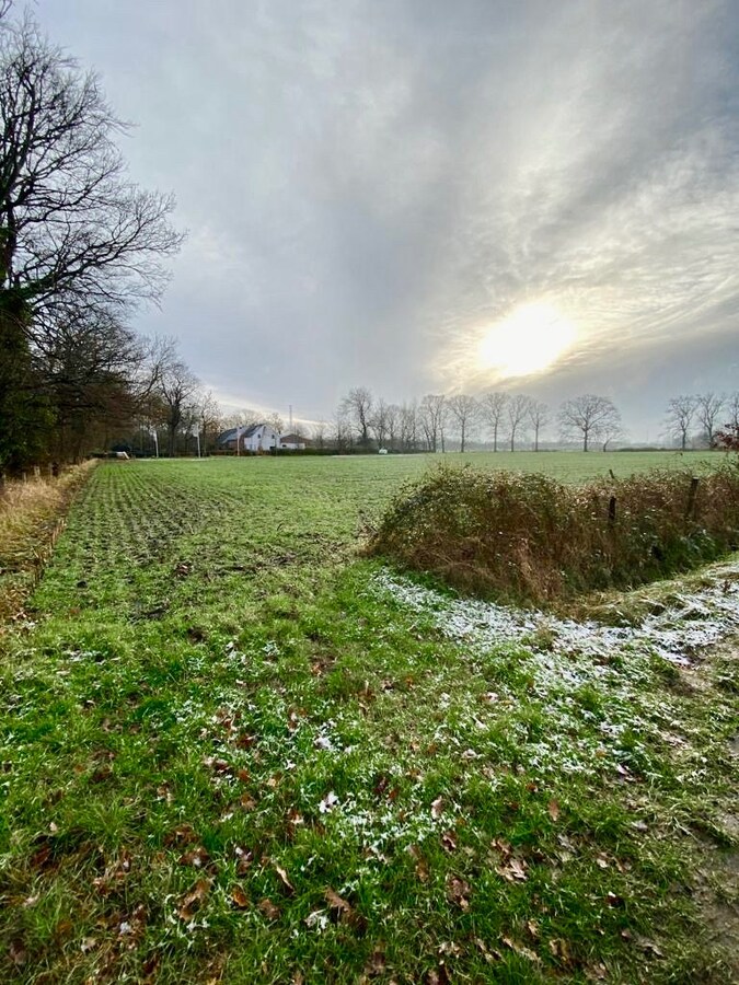 Te koop terrein - Antwerpen