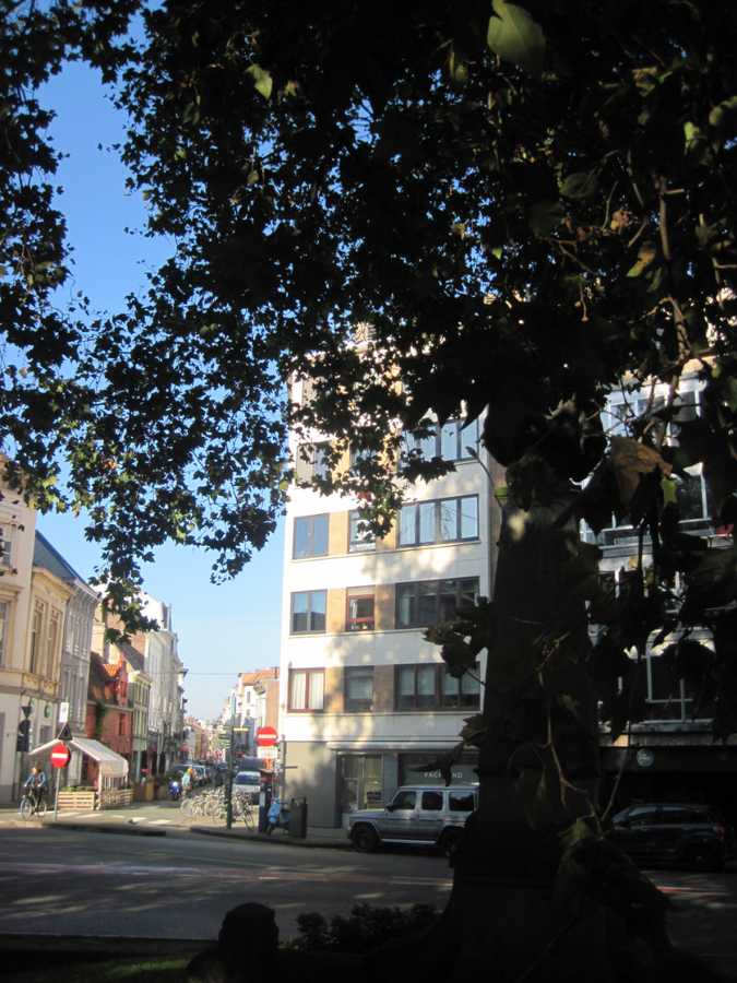 Lichtrijk, ruim 2-slp-appartement aan St-Anna-plein. 