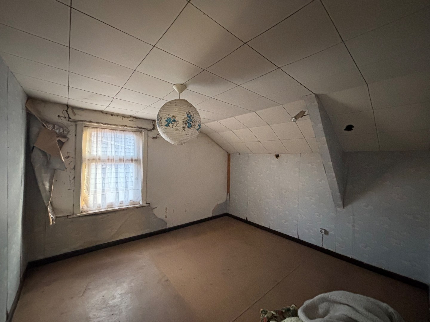 Te renoveren hoeve op 23a 16ca in een rustige omgeving te Mol 