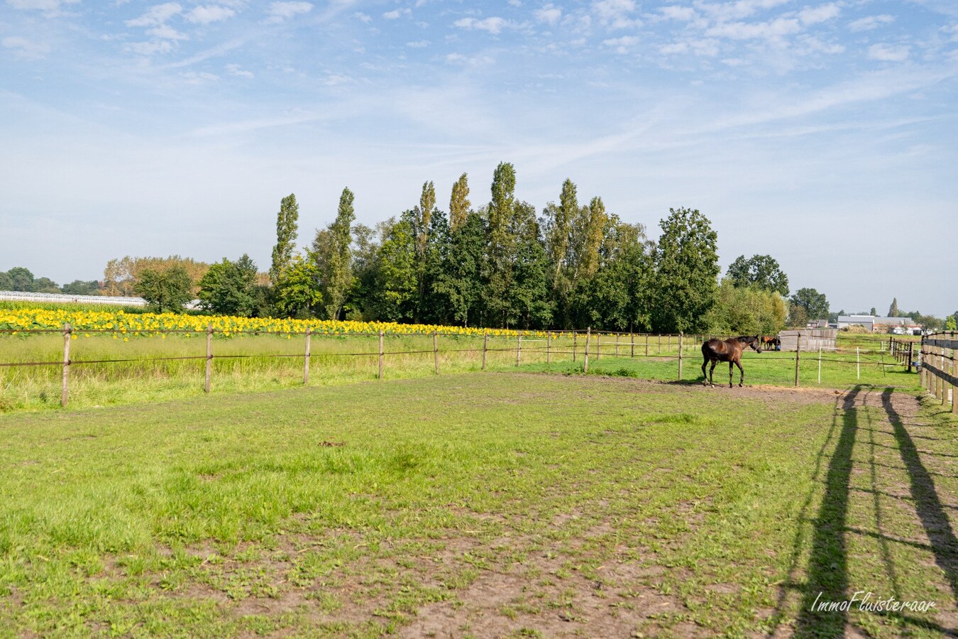 Maison semi-ouverte avec écuries, piste et prairies sur environ 1,5 ha à Sint-Katelijne-Waver (Optionnel : possibilité d'acheter une prairie d'environ 1 ha en plus) 