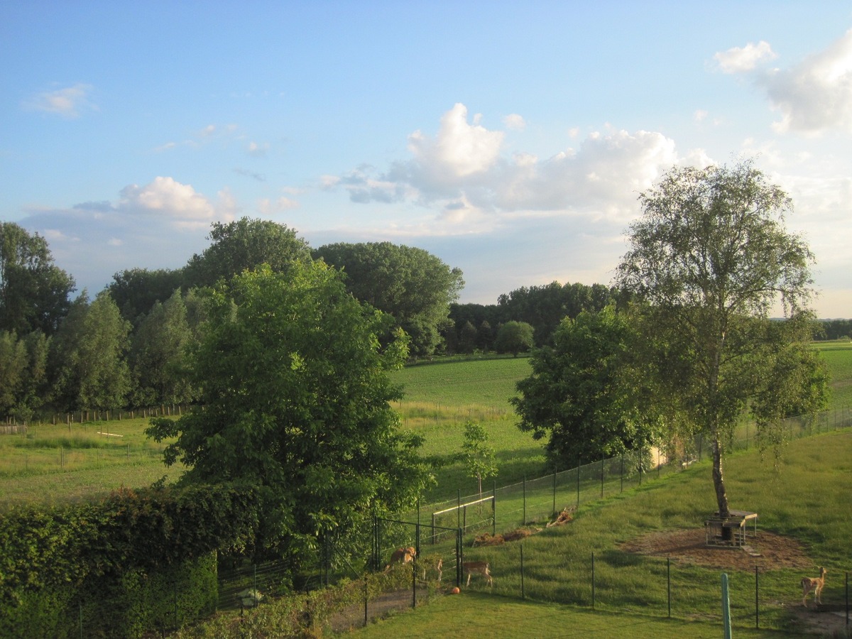 Recent, ruim appartement met een uniek terras ! 
