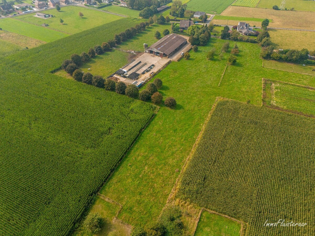 Prachtige villa met een ruim stalgebouw op ca. 2,2 ha te Dilsen-Stokkem 