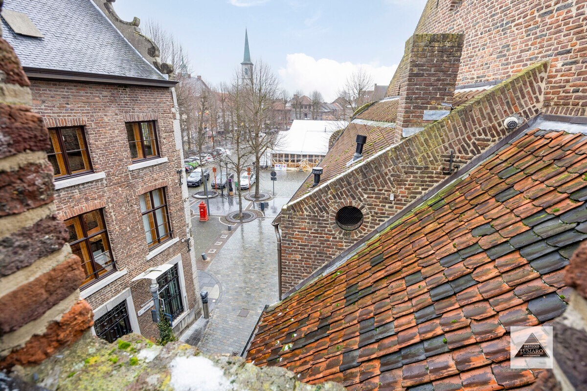 Burgerhuis 'Den Golden Naegel' - aan de Markt - lift - overdekte parking 