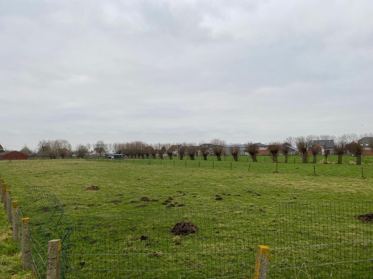 Stuk weiland te Roksem 