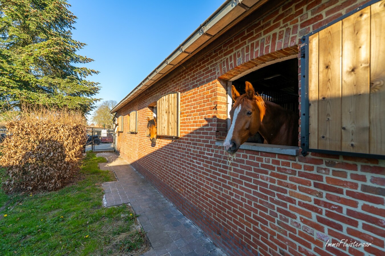 Farm for sale in Geel