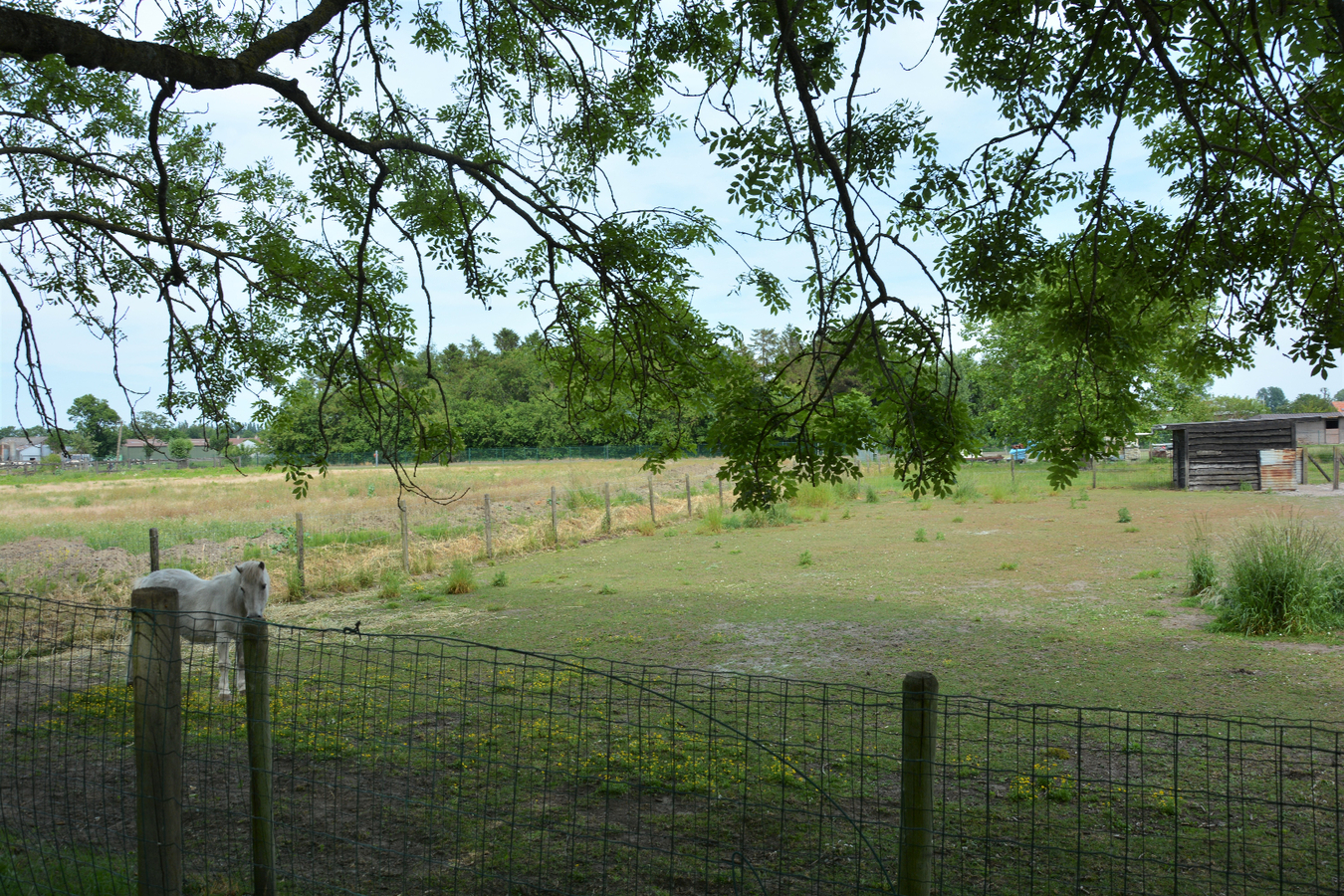 Instapklare bungalow in leuke omgeving 