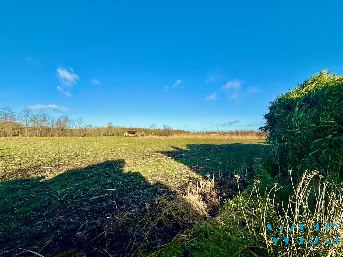 Vrijstaand woonhuis op 528m² te Kluizen ! 