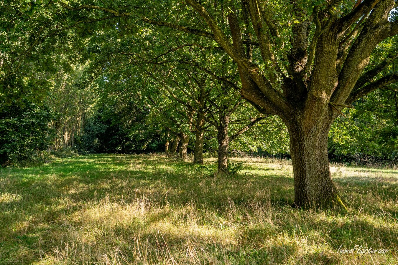 Unieke vierkantshoeve op een landelijke locatie op ca. 3 ha te Herne. 