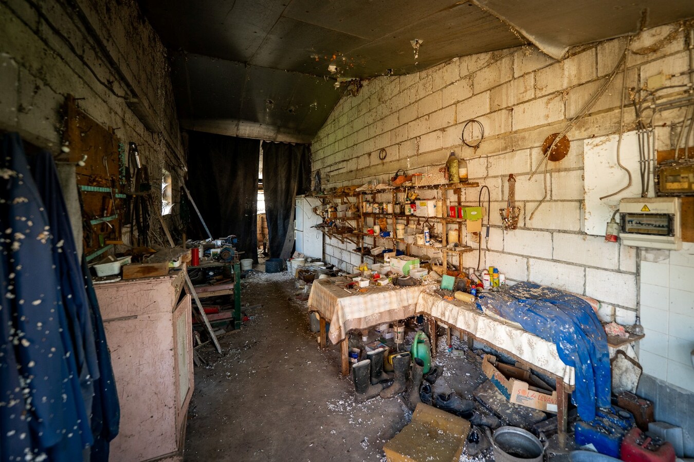 Hoeve met stalgebouwen op ca. 1ha te Bree 