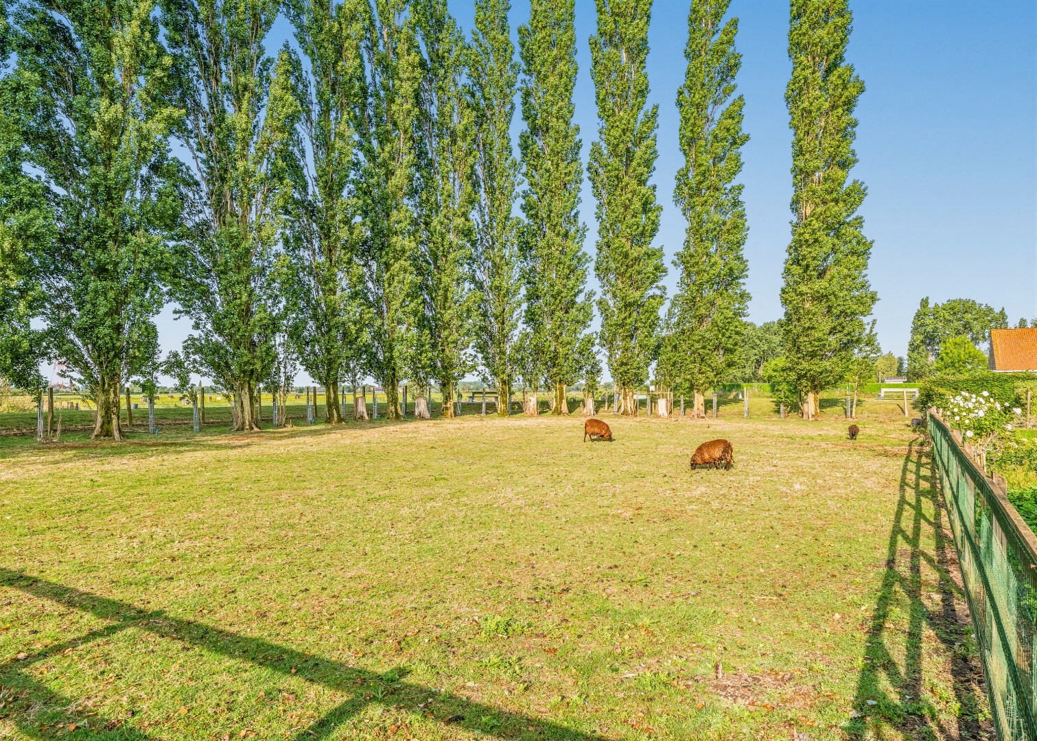 Restaurant met privéwoning en 2 B&amp;B-kamers op 4.370 m² 
