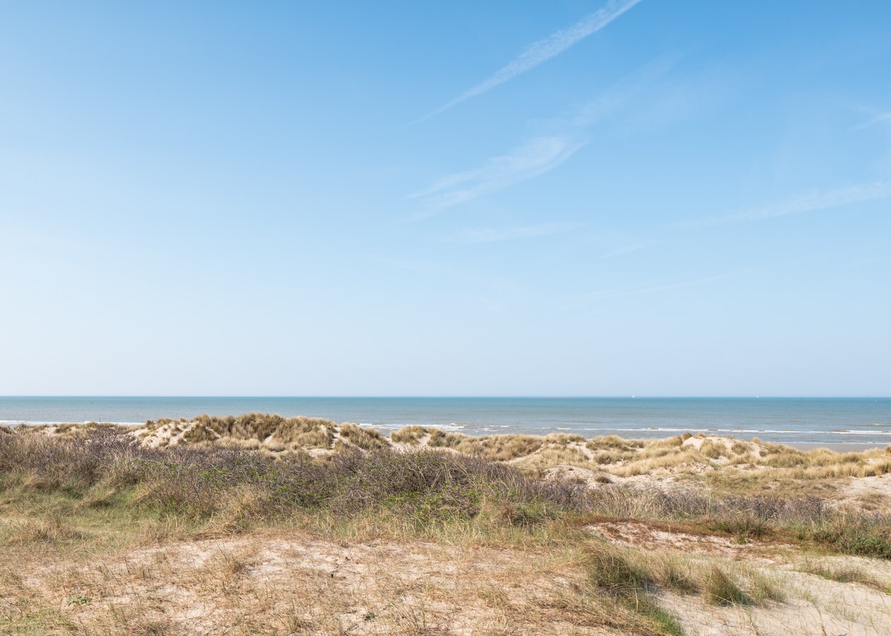 App.mit 1 Schlafzimmer 